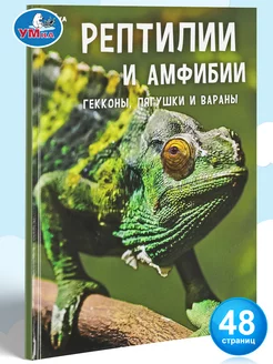 Книга детская энциклопедия развивающая Рептилии и амфибии