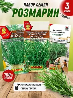 Семена розмарина 3 шт