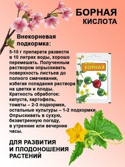 Подкормка огурцов борной кислотой в открытом