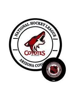 Шайба Arizona Coyotes