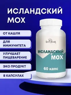 Исландский мох от кашля