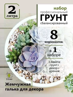 Грунт для суккулентов, кактусов, замиокулькаса