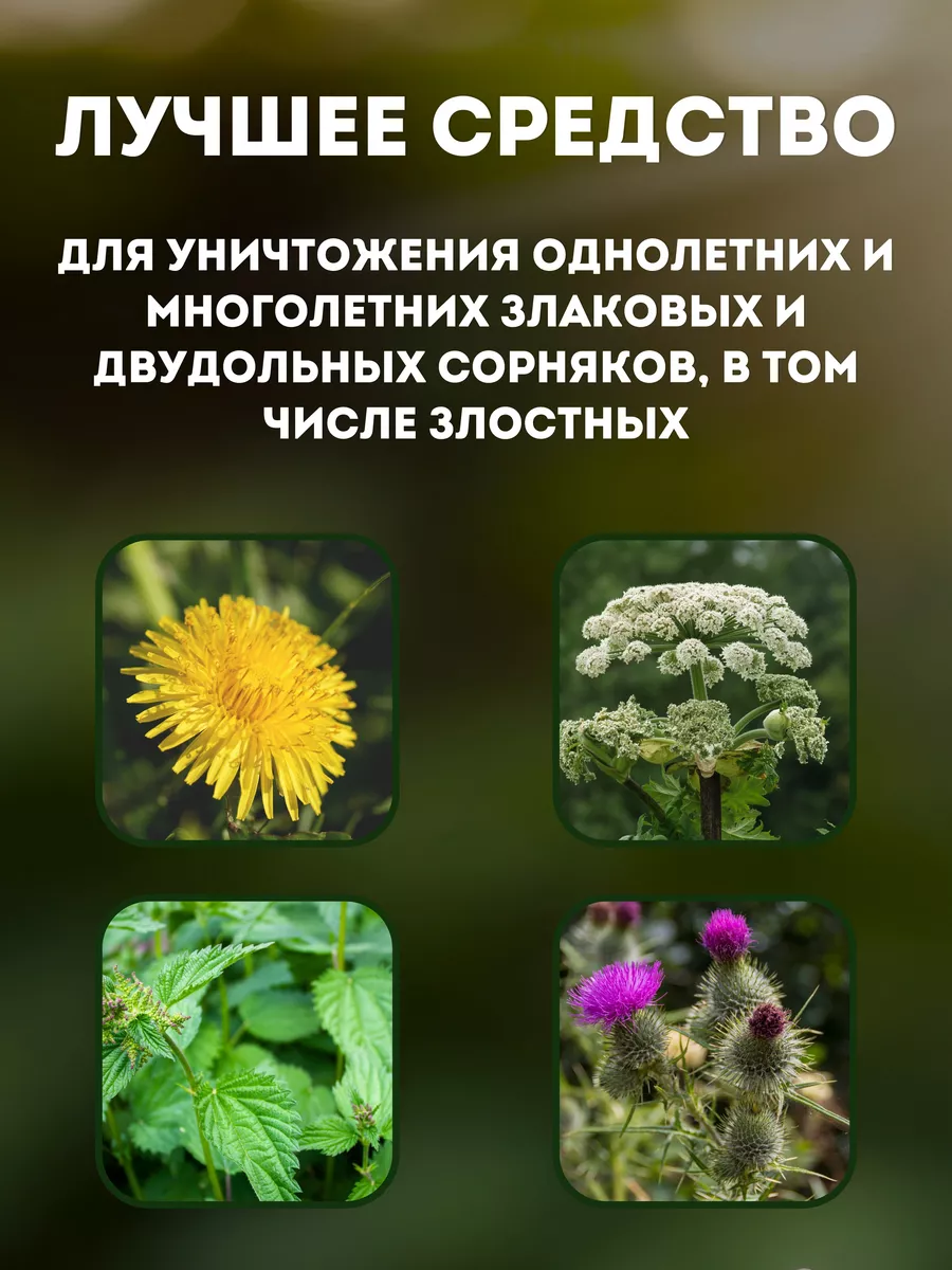 Чистогряд гербицид от сорняков. Чистогряд (500 мл). Средство от сорняков Чистогряд. Чистогряд гербицид. Кислота для сорняков.