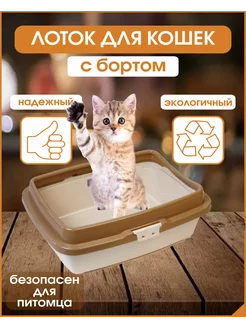 Лоток для маленьких кошек с бортами