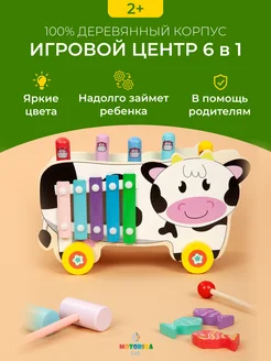 Многофункциональный игровой центр