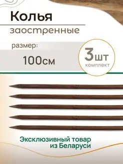 Колья садовые деревянные 1м, Ригель 5 см (3 шт) Танатон