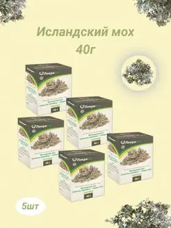 исландский мох измельченный 40г