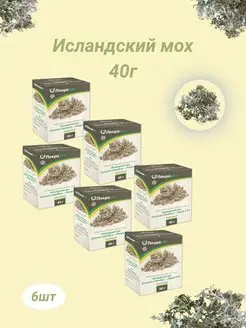 исландский мох измельченный 40г