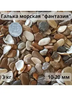 Галька морская "ФАНТАЗИЯ" 10-20 мм 3 кг