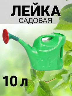 Лейка садовая, пластик, 10 л, с распылением