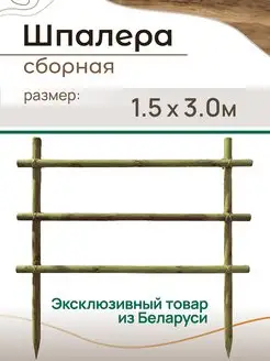 Шпалера конструктор, сосна 150х300 см, Ригель 5 см Таналит