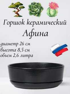 Горшок для бонсай, суккулентов и кактусов с поддоном D26см