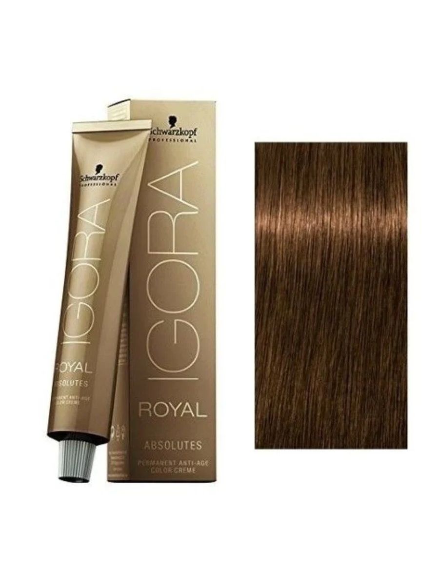 Краска игора. Igora Royal absolutes 6-50. Schwarzkopf Igora Royal absolute 6-50 палитра. Палитра игора Роял Абсолют 6.50. Igora Royal Dark blonde 6 палитра.