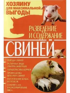 Разведение и содержание свиней